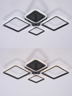 Потолочная люстра Natali Kovaltseva OPTI LED LAMPS 81108/2C в Менделеевске - mendeleevsk.ok-mebel.com | фото 4