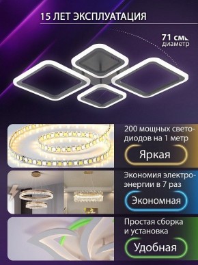 Потолочная люстра Natali Kovaltseva OPTI LED LAMPS 81108/2C в Менделеевске - mendeleevsk.ok-mebel.com | фото 5