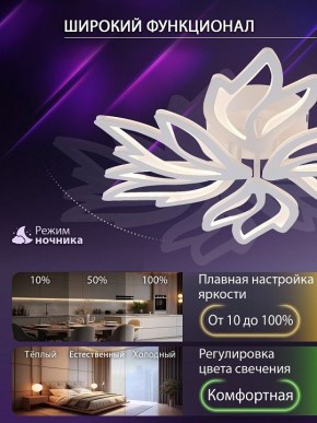 Потолочная люстра Natali Kovaltseva RIF LED LAMPS 81118/5C в Менделеевске - mendeleevsk.ok-mebel.com | фото 6