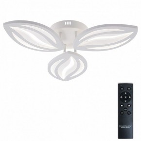 Потолочная люстра Natali Kovaltseva SM LED LAMPS 81456 в Менделеевске - mendeleevsk.ok-mebel.com | фото 2