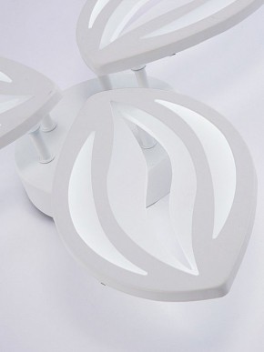 Потолочная люстра Natali Kovaltseva SM LED LAMPS 81456 в Менделеевске - mendeleevsk.ok-mebel.com | фото 8