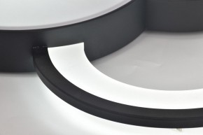 Потолочная люстра Rivoli Aliona Б0066452 в Менделеевске - mendeleevsk.ok-mebel.com | фото 12