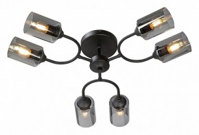 Потолочная люстра Vitaluce V2823 V2823-1/6PL в Менделеевске - mendeleevsk.ok-mebel.com | фото 2