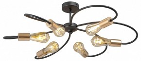 Потолочная люстра Vitaluce V3076 V3076-1/6PL в Менделеевске - mendeleevsk.ok-mebel.com | фото 3