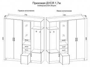 Прихожая Дуся 1.7 УНИ (Дуб Бунратти/Белый Бриллиант) в Менделеевске - mendeleevsk.ok-mebel.com | фото 2