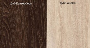 Прихожая-купе Смарт 3 (1000) в Менделеевске - mendeleevsk.ok-mebel.com | фото 5
