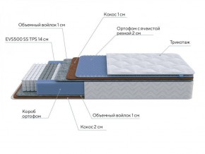 PROxSON Матрас Active Duo M/F (Ткань Трикотаж Эко) 120x200 в Менделеевске - mendeleevsk.ok-mebel.com | фото 7