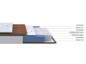 PROxSON Матрас Active F Roll (Ткань Трикотаж Эко) 120x200 в Менделеевске - mendeleevsk.ok-mebel.com | фото 2