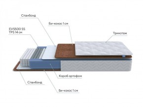 PROxSON Матрас Active F Roll (Ткань Трикотаж Эко) 120x200 в Менделеевске - mendeleevsk.ok-mebel.com | фото 6