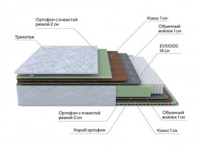 PROxSON Матрас Green M (Tricotage Dream) 80x220 в Менделеевске - mendeleevsk.ok-mebel.com | фото 6
