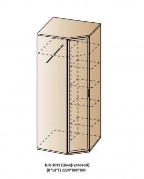 ШК-1011 (Шкаф угловой) в Менделеевске - mendeleevsk.ok-mebel.com | фото