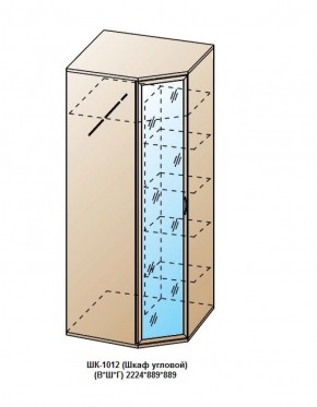 ШК-1012 (Шкаф угловой) в Менделеевске - mendeleevsk.ok-mebel.com | фото
