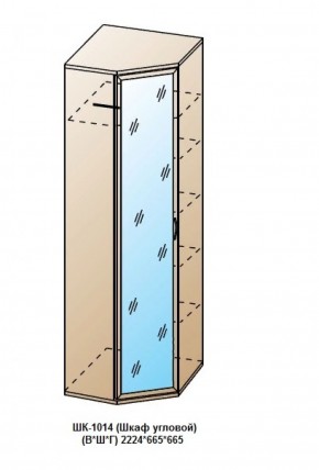 ШК-1014 (Шкаф угловой) в Менделеевске - mendeleevsk.ok-mebel.com | фото