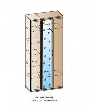 ШК-1031 (Шкаф) в Менделеевске - mendeleevsk.ok-mebel.com | фото