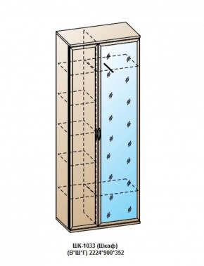 ШК-1033 (Шкаф) в Менделеевске - mendeleevsk.ok-mebel.com | фото