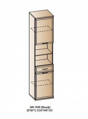 ШК-1048 (Шкаф) в Менделеевске - mendeleevsk.ok-mebel.com | фото