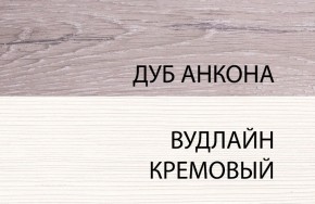 Шкаф 1DZ, OLIVIA, цвет вудлайн крем/дуб анкона в Менделеевске - mendeleevsk.ok-mebel.com | фото 3