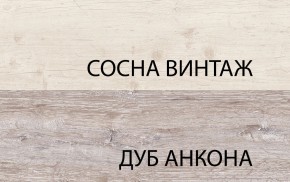 Шкаф 2D1S, MONAKO, цвет Сосна винтаж/дуб анкона в Менделеевске - mendeleevsk.ok-mebel.com | фото