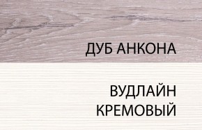 Шкаф 2DG, OLIVIA, цвет вудлайн крем/дуб анкона в Менделеевске - mendeleevsk.ok-mebel.com | фото 3