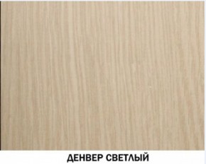 Шкаф для одежды №609 "Инна" Денвер светлый (*без полок) в Менделеевске - mendeleevsk.ok-mebel.com | фото 4