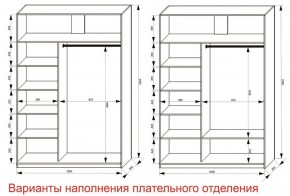 Шкаф-купе 1600 серии SOFT D6+D4+B2+PL2 (2 ящика+1штанга+1 полка) профиль «Капучино» в Менделеевске - mendeleevsk.ok-mebel.com | фото 8