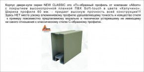 Шкаф-купе 1700 серии NEW CLASSIC K3+K3+B2+PL1 (2 ящика+1 штанга) профиль «Капучино» в Менделеевске - mendeleevsk.ok-mebel.com | фото 17