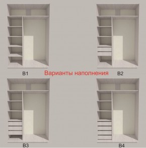 Шкаф-купе 1700 серии SILVER S4+S3Z+B2+PL1 (2 ящика+1 штанга) профиль «Серебро» в Менделеевске - mendeleevsk.ok-mebel.com | фото 5