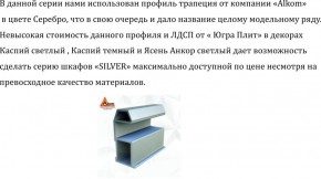 Шкаф-купе 2250 серии SILVER S3+S1+S3Z B22+PL2 (по 2 ящика лев/прав+1штанга+1 полка) профиль «Серебро» в Менделеевске - mendeleevsk.ok-mebel.com | фото 4