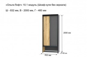 ОЛЬГА-ЛОФТ 10.1 Шкаф-купе без зеркала в Менделеевске - mendeleevsk.ok-mebel.com | фото 3