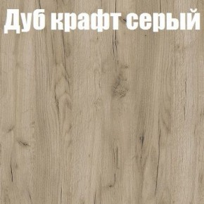 Шкаф-купе Эдем 1.5 (Дуб Крафт серый/Бетонный камень) двери ЛДСП в Менделеевске - mendeleevsk.ok-mebel.com | фото 4