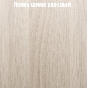 Шкаф-купе «ТАНДЕМ» 2-х дверный в алюминиевом профиле (Дверь К+К) 1400/h2200 в Менделеевске - mendeleevsk.ok-mebel.com | фото 6