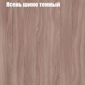 Шкаф-купе «ТАНДЕМ» 2-х дверный в алюминиевом профиле (Дверь К+К) 1400/h2200 в Менделеевске - mendeleevsk.ok-mebel.com | фото 7