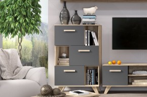 Шкаф низкий с нишами Вега Скандинавия в Менделеевске - mendeleevsk.ok-mebel.com | фото 6