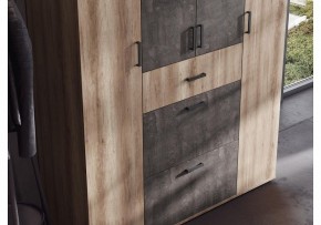 Шкаф платяной Паркинс в Менделеевске - mendeleevsk.ok-mebel.com | фото 3