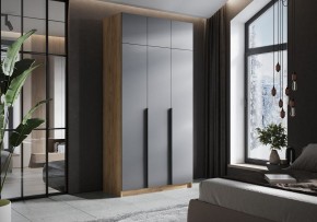 Шкаф платяной Широн в Менделеевске - mendeleevsk.ok-mebel.com | фото 4