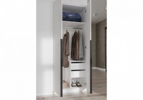 Шкаф платяной Широн в Менделеевске - mendeleevsk.ok-mebel.com | фото 3