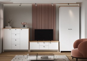Шкаф платяной Теодора в Менделеевске - mendeleevsk.ok-mebel.com | фото 4