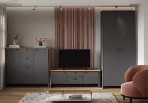 Шкаф платяной Теодора в Менделеевске - mendeleevsk.ok-mebel.com | фото 3
