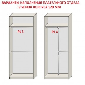 Шкаф распашной серия «ЗЕВС» (PL3/С1/PL2) в Менделеевске - mendeleevsk.ok-mebel.com | фото 10