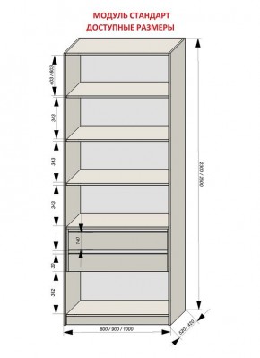 Шкаф распашной серия «ЗЕВС» (PL3/С1/PL2) в Менделеевске - mendeleevsk.ok-mebel.com | фото 13