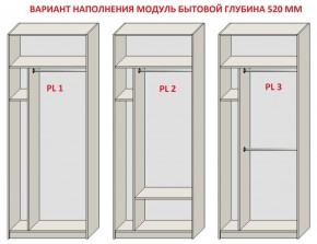 Шкаф распашной серия «ЗЕВС» (PL3/С1/PL2) в Менделеевске - mendeleevsk.ok-mebel.com | фото 5