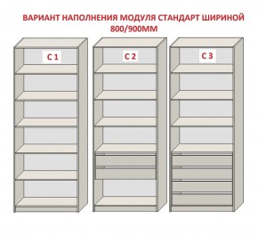 Шкаф распашной серия «ЗЕВС» (PL3/С1/PL2) в Менделеевске - mendeleevsk.ok-mebel.com | фото 6