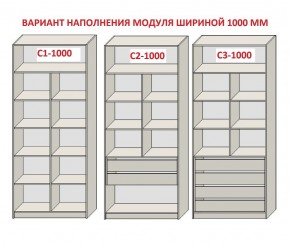 Шкаф распашной серия «ЗЕВС» (PL3/С1/PL2) в Менделеевске - mendeleevsk.ok-mebel.com | фото 7