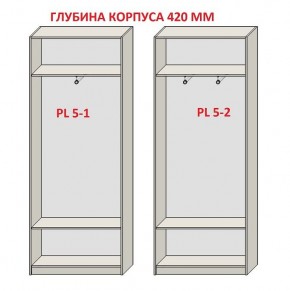 Шкаф распашной серия «ЗЕВС» (PL3/С1/PL2) в Менделеевске - mendeleevsk.ok-mebel.com | фото 8