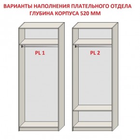 Шкаф распашной серия «ЗЕВС» (PL3/С1/PL2) в Менделеевске - mendeleevsk.ok-mebel.com | фото 9