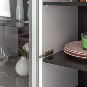 Шкаф-витрина 13.201 Сидней в Менделеевске - mendeleevsk.ok-mebel.com | фото 2