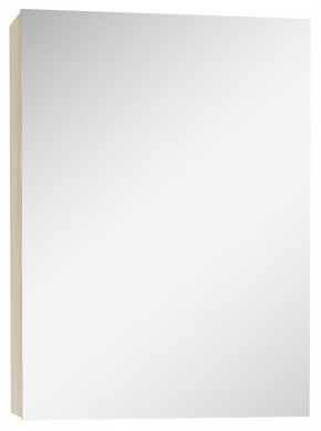 Шкаф-зеркало Мечта 40 Дуб сонома АЙСБЕРГ (DM2317HZ) в Менделеевске - mendeleevsk.ok-mebel.com | фото