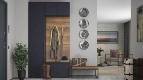 Стенка для прихожей Лаура в Менделеевске - mendeleevsk.ok-mebel.com | фото