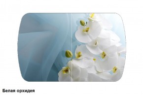 Стол Бостон 900*600 (опоры Брифинг) Стекло/фотопечать Белая Орхидея в Менделеевске - mendeleevsk.ok-mebel.com | фото