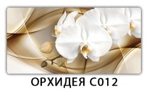 Стол раздвижной Трилогия с фотопечатью Доска D111 в Менделеевске - mendeleevsk.ok-mebel.com | фото 13